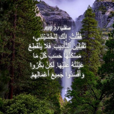 Picture 04 - صَفَنْيَا 3:7 AVD - فَقُلْتُ: إِنَّكِ - Bible Verse Picture