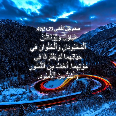 Picture 04 - صَمُوئِيلَ ٱلثَّانِي 1:23 AVD - شَاوُلُ وَيُونَاثَانُ - Bible Verse Picture