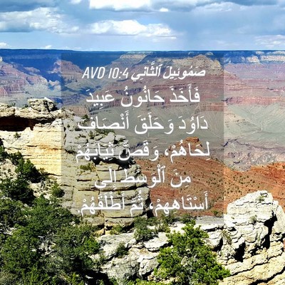 Picture 04 - صَمُوئِيلَ ٱلثَّانِي 10:4 AVD - فَأَخَذَ حَانُونُ عَبِيدَ - Bible Verse Picture
