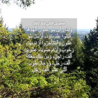 Picture 04 - صَمُوئِيلَ ٱلثَّانِي 10:6 AVD - وَلَمَّا رَأَى بَنُو - Bible Verse Picture