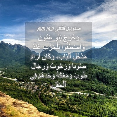 Picture 04 - صَمُوئِيلَ ٱلثَّانِي 10:8 AVD - وَخَرَجَ بَنُو عَمُّونَ - Bible Verse Picture
