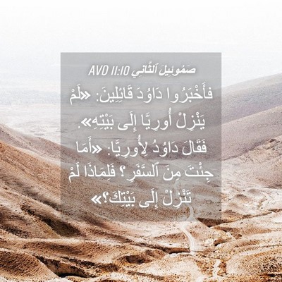 Picture 04 - صَمُوئِيلَ ٱلثَّانِي 11:10 AVD - فأَخْبَرُوا دَاوُدَ - Bible Verse Picture