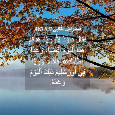 Picture 04 - صَمُوئِيلَ ٱلثَّانِي 11:12 AVD - فَقَالَ دَاوُدُ - Bible Verse Picture