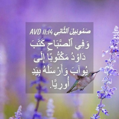 Picture 04 - صَمُوئِيلَ ٱلثَّانِي 11:14 AVD - وَفِي ٱلصَّبَاحِ كَتَبَ - Bible Verse Picture