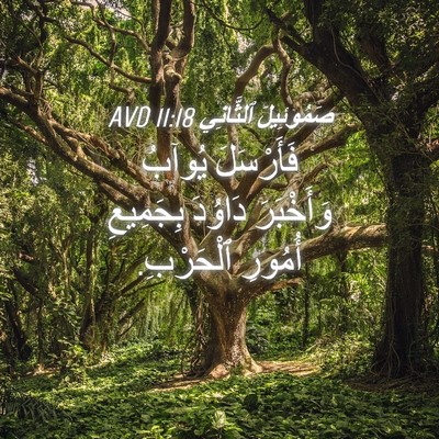 Picture 04 - صَمُوئِيلَ ٱلثَّانِي 11:18 AVD - فَأَرْسَلَ يُوآبُ - Bible Verse Picture
