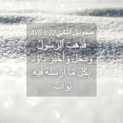 Picture 04 - صَمُوئِيلَ ٱلثَّانِي 11:22 AVD - فَذَهَبَ ٱلرَّسُولُ - Bible Verse Picture