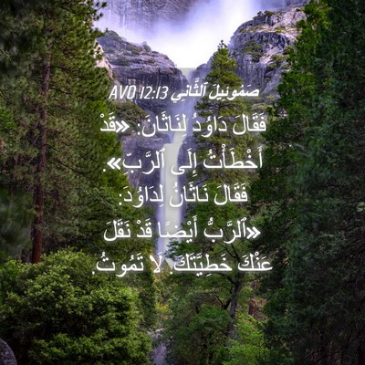 Picture 04 - صَمُوئِيلَ ٱلثَّانِي 12:13 AVD - فَقَالَ دَاوُدُ - Bible Verse Picture