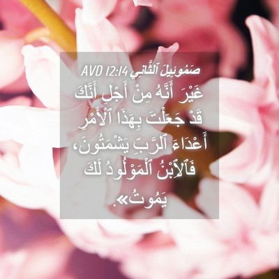 Picture 04 - صَمُوئِيلَ ٱلثَّانِي 12:14 AVD - غَيْرَ أَنَّهُ مِنْ أَجْلِ - Bible Verse Picture