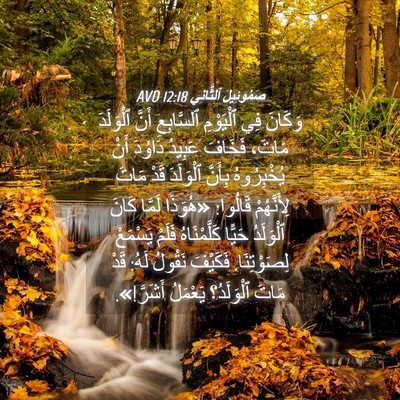 Picture 04 - صَمُوئِيلَ ٱلثَّانِي 12:18 AVD - وَكَانَ فِي ٱلْيَوْمِ - Bible Verse Picture