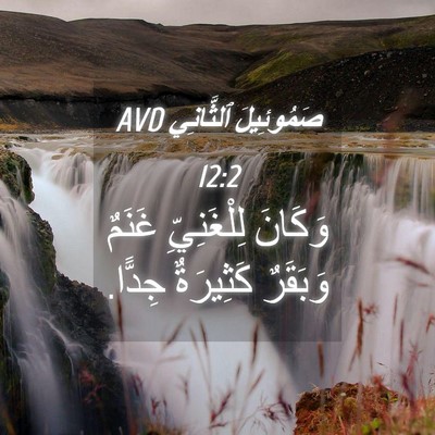 Picture 04 - صَمُوئِيلَ ٱلثَّانِي 12:2 AVD - وَكَانَ لِلْغَنِيِّ - Bible Verse Picture