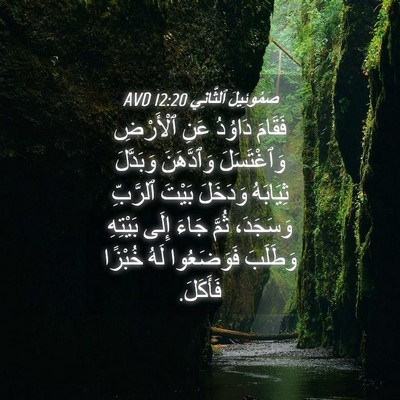Picture 04 - صَمُوئِيلَ ٱلثَّانِي 12:20 AVD - فَقَامَ دَاوُدُ عَنِ - Bible Verse Picture