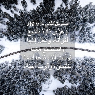 Picture 04 - صَمُوئِيلَ ٱلثَّانِي 12:24 AVD - وَعَزَّى دَاوُدُ - Bible Verse Picture