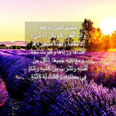 Picture 04 - صَمُوئِيلَ ٱلثَّانِي 12:3 AVD - وَأَمَّا ٱلْفَقِيرُ - Bible Verse Picture
