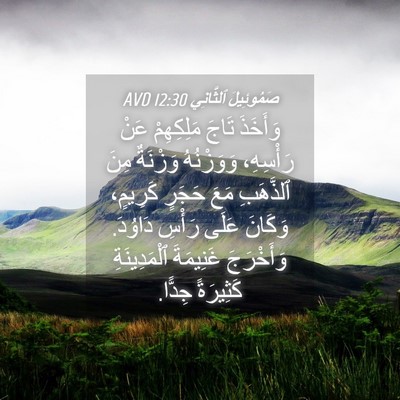 Picture 04 - صَمُوئِيلَ ٱلثَّانِي 12:30 AVD - وَأَخَذَ تَاجَ مَلِكِهِمْ - Bible Verse Picture