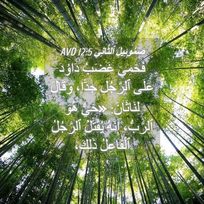 Picture 04 - صَمُوئِيلَ ٱلثَّانِي 12:5 AVD - فَحَمِيَ غَضَبُ دَاوُدَ - Bible Verse Picture