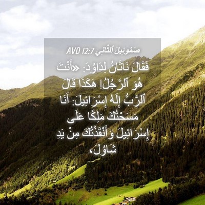 Picture 04 - صَمُوئِيلَ ٱلثَّانِي 12:7 AVD - فَقَالَ نَاثَانُ - Bible Verse Picture