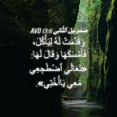 Picture 04 - صَمُوئِيلَ ٱلثَّانِي 13:11 AVD - وَقَدَّمَتْ لَهُ - Bible Verse Picture