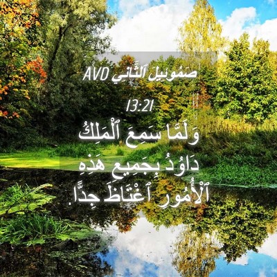 Picture 04 - صَمُوئِيلَ ٱلثَّانِي 13:21 AVD - وَلَمَّا سَمِعَ ٱلْمَلِكُ - Bible Verse Picture