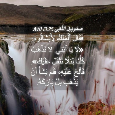 Picture 04 - صَمُوئِيلَ ٱلثَّانِي 13:25 AVD - فَقَالَ ٱلْمَلِكُ - Bible Verse Picture