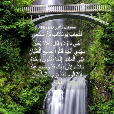 Picture 04 - صَمُوئِيلَ ٱلثَّانِي 13:32 AVD - فَأَجَابَ يُونَادَابُ - Bible Verse Picture