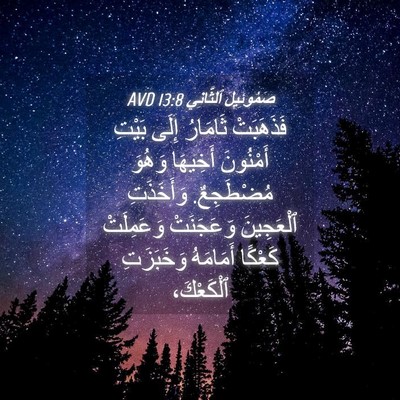 Picture 04 - صَمُوئِيلَ ٱلثَّانِي 13:8 AVD - فَذَهَبَتْ ثَامَارُ إِلَى - Bible Verse Picture