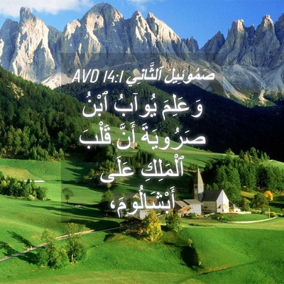 Picture 04 - صَمُوئِيلَ ٱلثَّانِي 14:1 AVD - وَعَلِمَ يُوآبُ ٱبْنُ - Bible Verse Picture