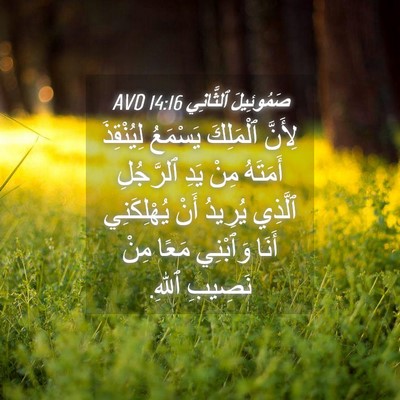 Picture 04 - صَمُوئِيلَ ٱلثَّانِي 14:16 AVD - لِأَنَّ ٱلْمَلِكَ - Bible Verse Picture