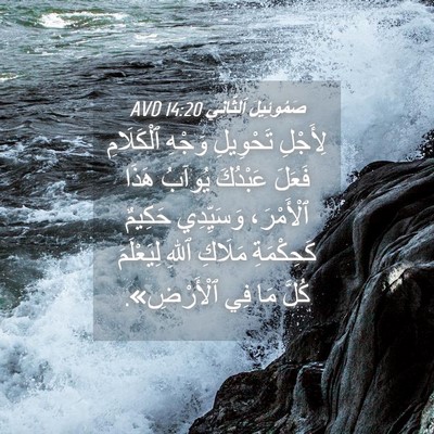 Picture 04 - صَمُوئِيلَ ٱلثَّانِي 14:20 AVD - لِأَجْلِ تَحْوِيلِ وَجْهِ - Bible Verse Picture