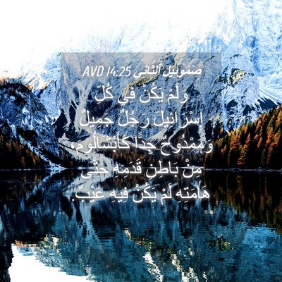 Picture 04 - صَمُوئِيلَ ٱلثَّانِي 14:25 AVD - وَلَمْ يَكُنْ فِي كُلِّ - Bible Verse Picture