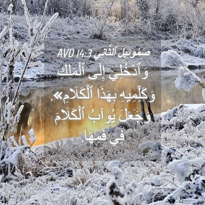 Picture 04 - صَمُوئِيلَ ٱلثَّانِي 14:3 AVD - وَٱدْخُلِي إِلَى - Bible Verse Picture