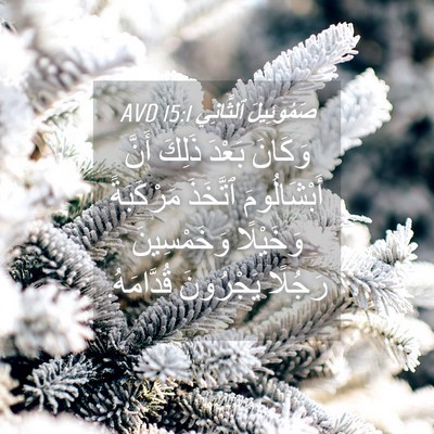 Picture 04 - صَمُوئِيلَ ٱلثَّانِي 15:1 AVD - وَكَانَ بَعْدَ ذَلِكَ - Bible Verse Picture