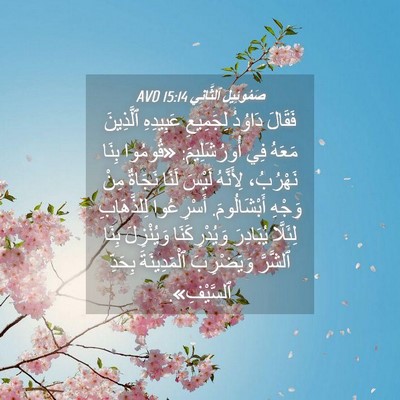 Picture 04 - صَمُوئِيلَ ٱلثَّانِي 15:14 AVD - فَقَالَ دَاوُدُ لِجَمِيعِ - Bible Verse Picture