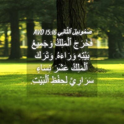 Picture 04 - صَمُوئِيلَ ٱلثَّانِي 15:16 AVD - فَخَرَجَ ٱلْمَلِكُ - Bible Verse Picture
