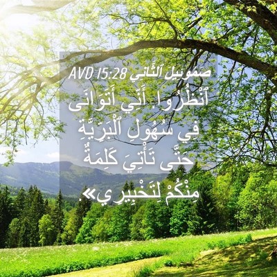 Picture 04 - صَمُوئِيلَ ٱلثَّانِي 15:28 AVD - ٱنْظُرُوا. أَنِّي - Bible Verse Picture