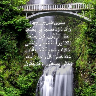 Picture 04 - صَمُوئِيلَ ٱلثَّانِي 15:30 AVD - وَأَمَّا دَاوُدُ فَصَعِدَ - Bible Verse Picture