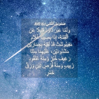 Picture 04 - صَمُوئِيلَ ٱلثَّانِي 16:1 AVD - وَلَمَّا عَبَرَ دَاوُدُ - Bible Verse Picture