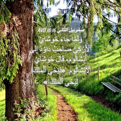 Picture 04 - صَمُوئِيلَ ٱلثَّانِي 16:16 AVD - وَلَمَّا جَاءَ حُوشَايُ - Bible Verse Picture
