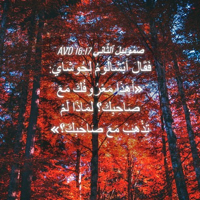 Picture 04 - صَمُوئِيلَ ٱلثَّانِي 16:17 AVD - فَقَالَ أَبْشَالُومُ - Bible Verse Picture