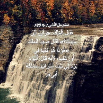 Picture 04 - صَمُوئِيلَ ٱلثَّانِي 16:3 AVD - فَقَالَ ٱلْمَلِكُ: - Bible Verse Picture