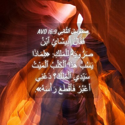 Picture 04 - صَمُوئِيلَ ٱلثَّانِي 16:9 AVD - فَقَالَ أَبِيشَايُ ٱبْنُ - Bible Verse Picture