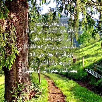 Picture 04 - صَمُوئِيلَ ٱلثَّانِي 17:20 AVD - فَجَاءَ عَبِيدُ - Bible Verse Picture