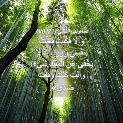 Picture 04 - صَمُوئِيلَ ٱلثَّانِي 18:13 AVD - وَإِلَّا فَكُنْتُ - Bible Verse Picture