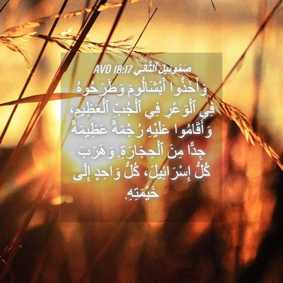 Picture 04 - صَمُوئِيلَ ٱلثَّانِي 18:17 AVD - وَأَخَذُوا أَبْشَالُومَ - Bible Verse Picture