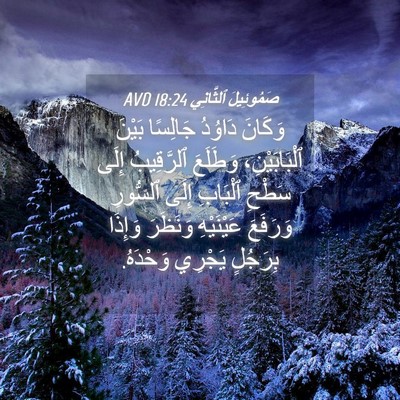 Picture 04 - صَمُوئِيلَ ٱلثَّانِي 18:24 AVD - وَكَانَ دَاوُدُ جَالِسًا - Bible Verse Picture