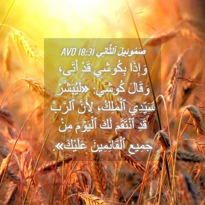 Picture 04 - صَمُوئِيلَ ٱلثَّانِي 18:31 AVD - وَإِذَا بِكُوشِي قَدْ - Bible Verse Picture