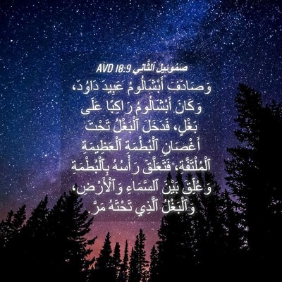 Picture 04 - صَمُوئِيلَ ٱلثَّانِي 18:9 AVD - وَصَادَفَ أَبْشَالُومُ - Bible Verse Picture