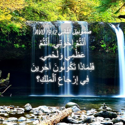 Picture 04 - صَمُوئِيلَ ٱلثَّانِي 19:12 AVD - أَنْتُمْ إِخْوَتِي. - Bible Verse Picture