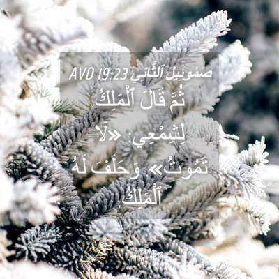 Picture 04 - صَمُوئِيلَ ٱلثَّانِي 19:23 AVD - ثُمَّ قَالَ ٱلْمَلِكُ - Bible Verse Picture