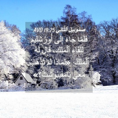 Picture 04 - صَمُوئِيلَ ٱلثَّانِي 19:25 AVD - فَلَمَّا جَاءَ إِلَى - Bible Verse Picture