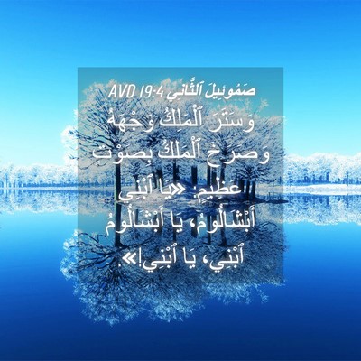 Picture 04 - صَمُوئِيلَ ٱلثَّانِي 19:4 AVD - وَسَتَرَ ٱلْمَلِكُ - Bible Verse Picture
